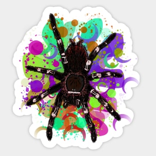 Tarantula Paint Splatter 4 Sticker